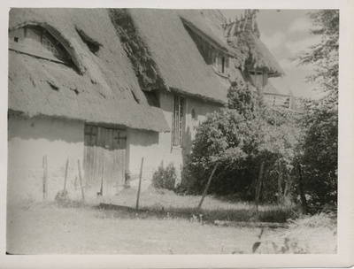 A. Laikmaa elamu Taeblas pargi poolt vaadatuna.  similar photo
