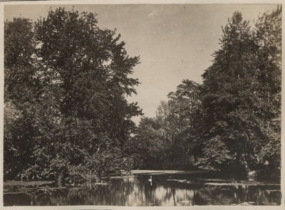 Botanic Garden Ticket of the University of Tartu  duplicate photo