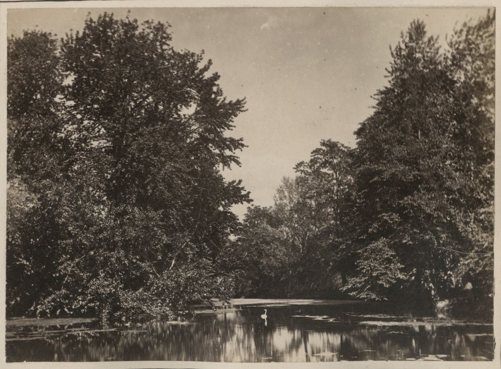 Botanic Garden Ticket of the University of Tartu