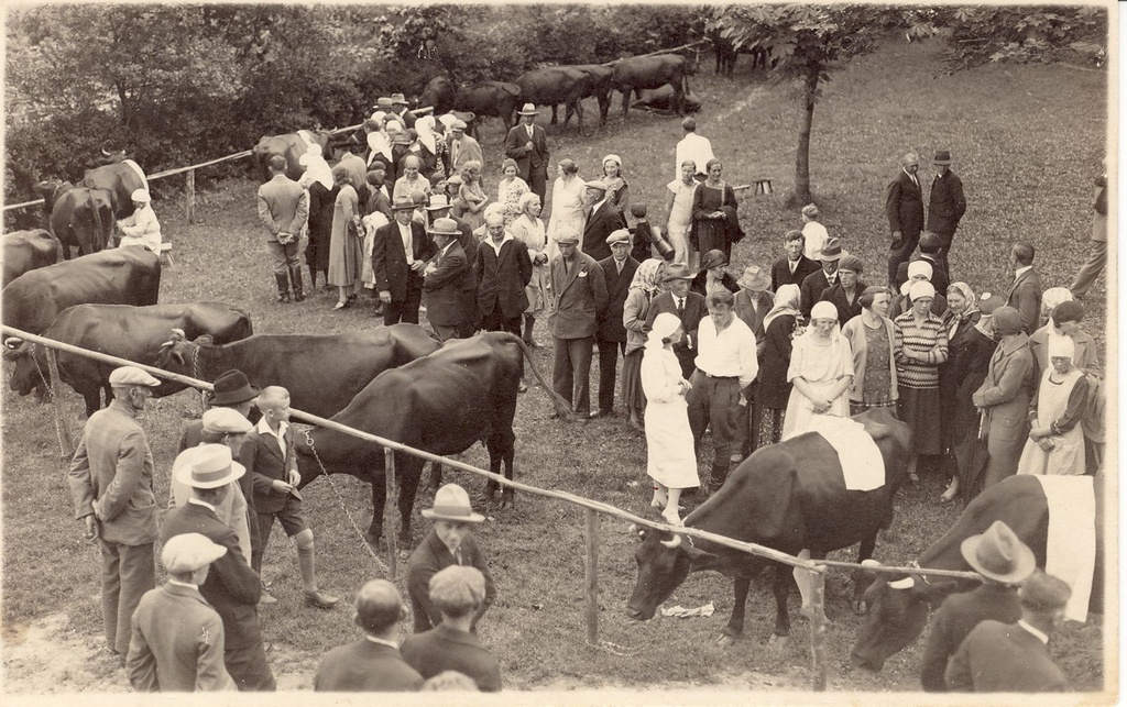 Karjanäitus ja lüpsivõistlus Kaagjärves Ala-Puurina talus 1932