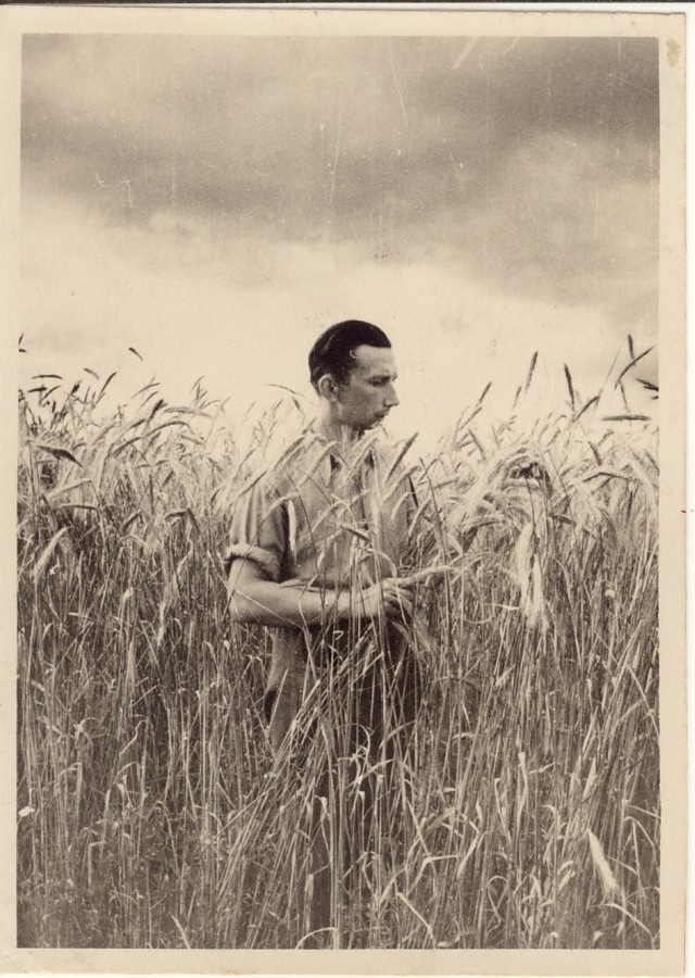 Katseagronoom E. Lilienthal rukkipõllul