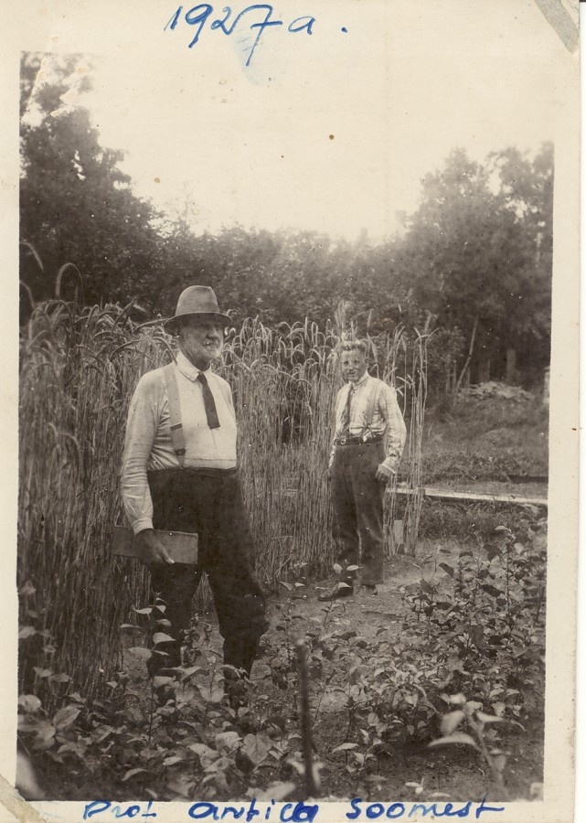 Fr. Berg koos prof. Antilaga Soomest katsepõllul