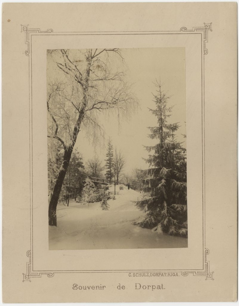The Winter of the Mount of Toome