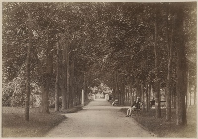 Allee Toomemäel, Background English bridge  duplicate photo