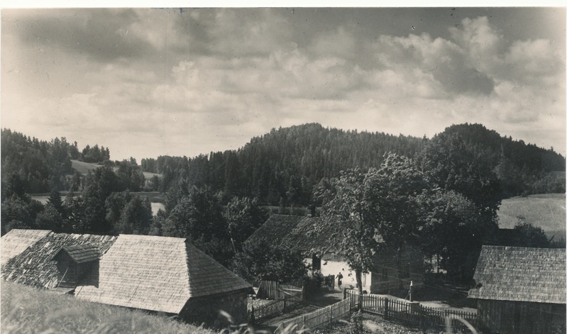 Talud Vaikjärve kaldal