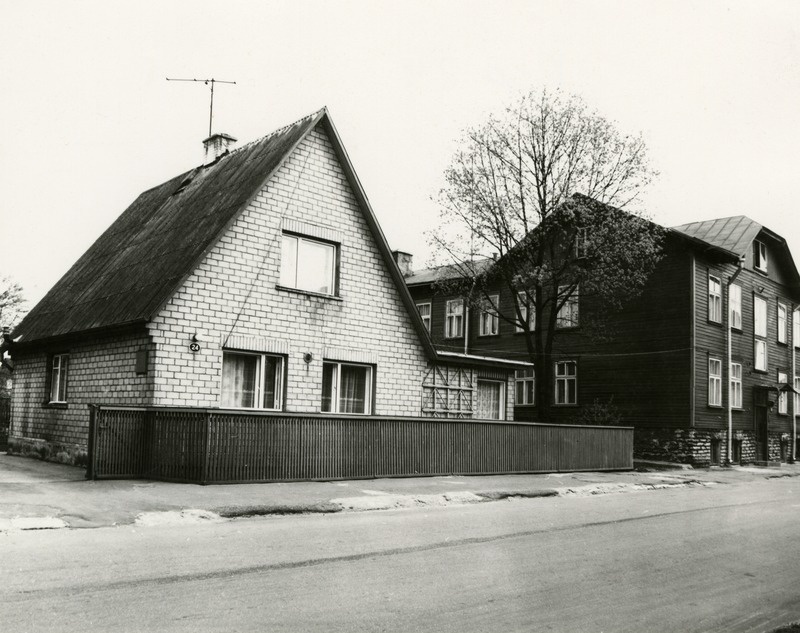 Pelgulinn: Roo 24 elamu