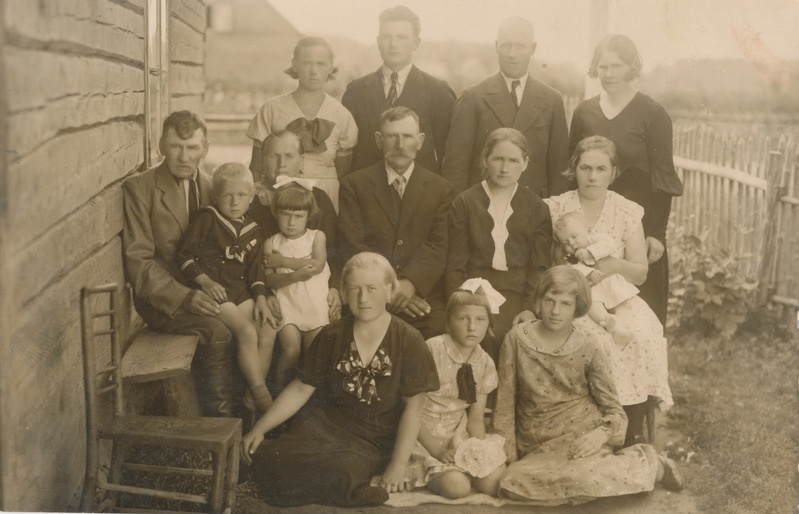 Rogenbaumide suguvõsa