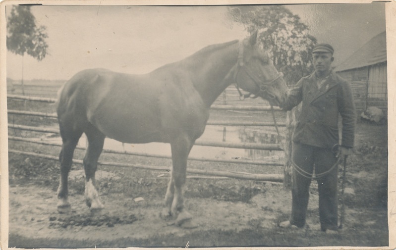 Hans Erdel tõutäkuga