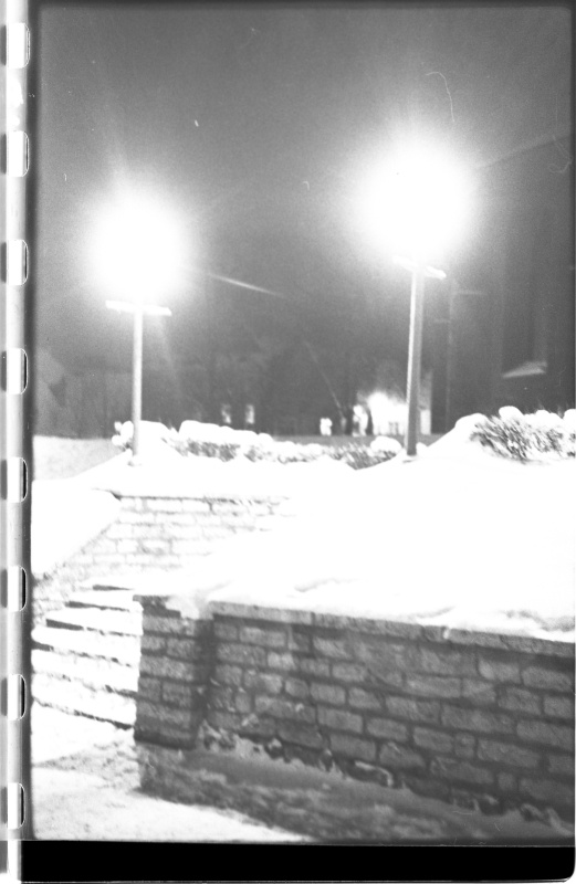 Harju street green area.
