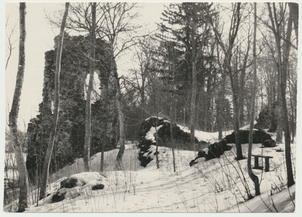foto, Tarvastu lossivaremed, 1964 foto A. Kiisla