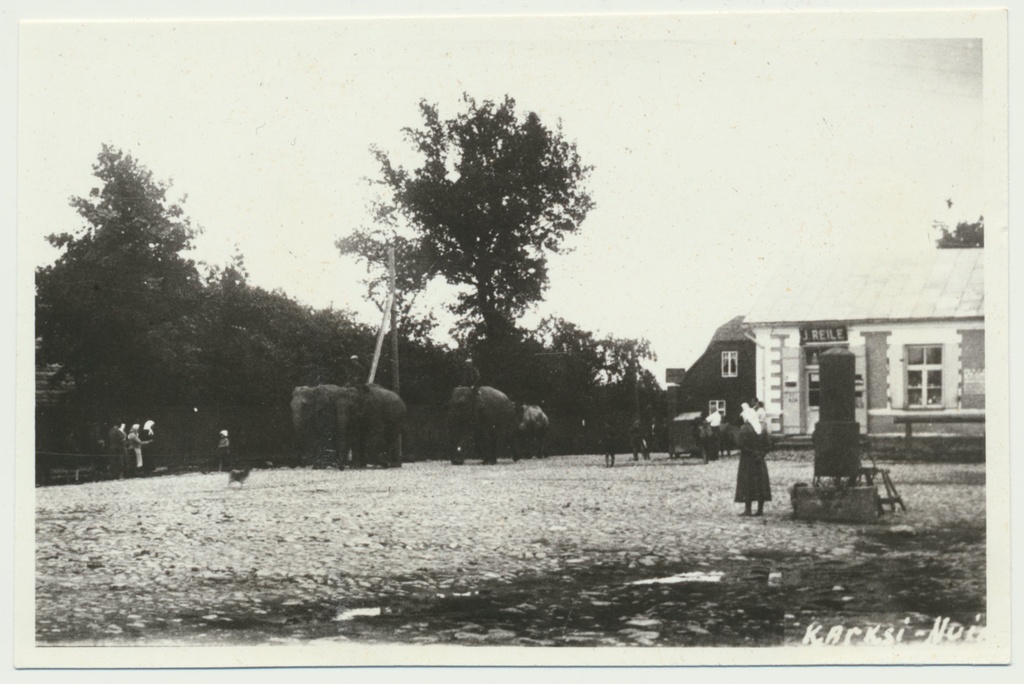 fotokoopia, Karksi khk, Karksi-Nuia, elevandid tänaval, u 1930