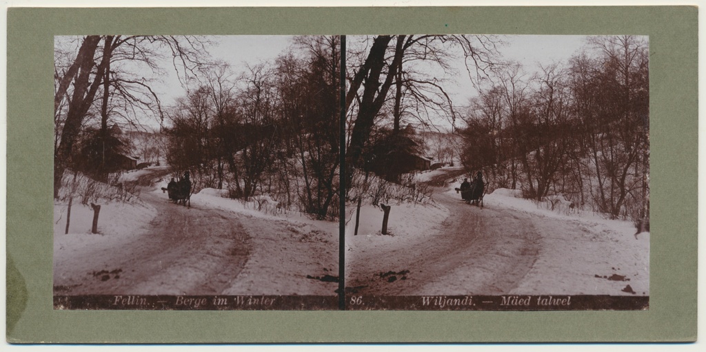 stereofoto, Viljandi mõis'a talitee (Hariduse tn pikendus), u 1905 foto J. Riet