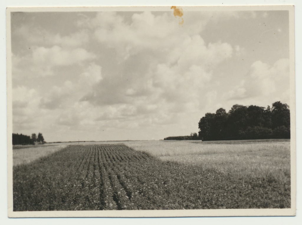 foto, Põltsamaa, u 1935, foto A. Kiisla