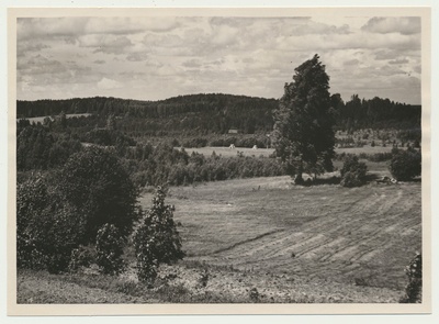 foto, Paistu khk Holstre-Polli mäed, 1958, foto A. Kiisla  duplicate photo