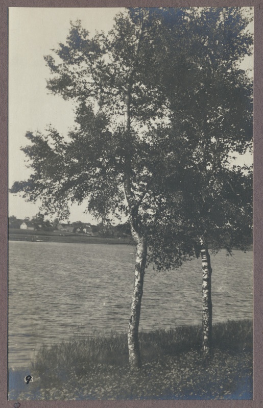 foto albumis, Viljandi, järv, vastaskallas, u 1910, foto J. Riet