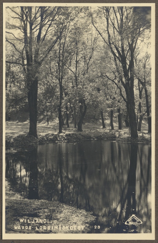 foto albumis, Viljandi, mõisatiik, u 1910, foto J. Riet