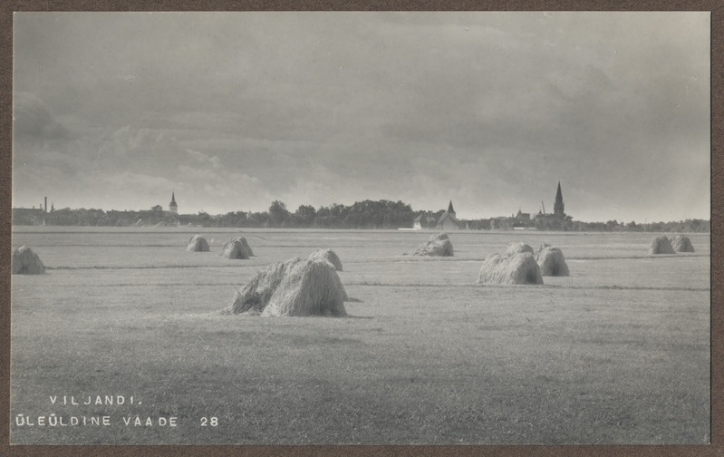 foto albumis, Viljandi, linn, heinamaa (Ilmarise tn poolt), u 1910 foto J. Riet