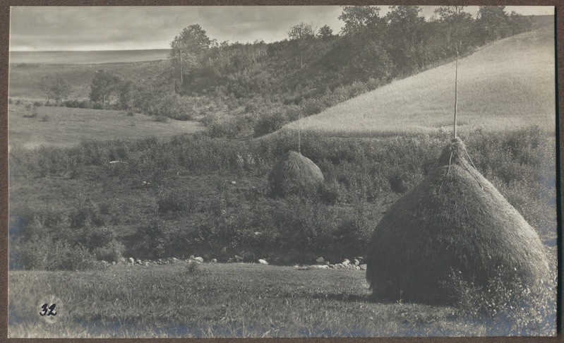 foto albumis, Viljandi, Uueveski org, u 1910, foto J. Riet