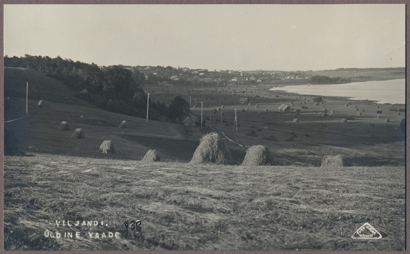 foto albumis, Viljandi, linn ja järv Männimäe poolt, u 1925, foto J. Riet