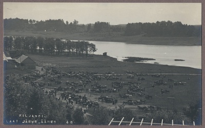 foto albumis, Viljandi, laat järve ääres, u 1910, foto J. Riet  duplicate photo