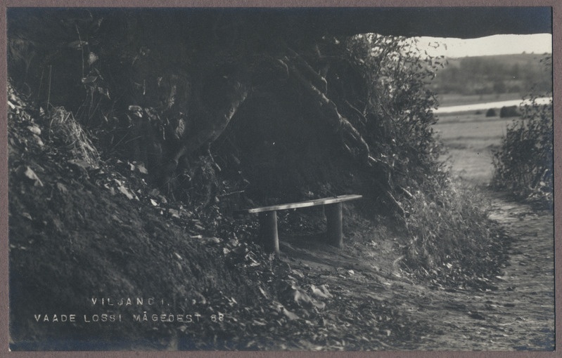 foto albumis, Viljandi, Valuoja org? (enne järve), u 1910, foto J. Riet