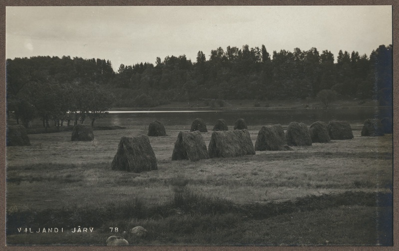 foto albumis, Viljandi, heinamaa, järv, vastaskallas, u 1910, foto J. Riet