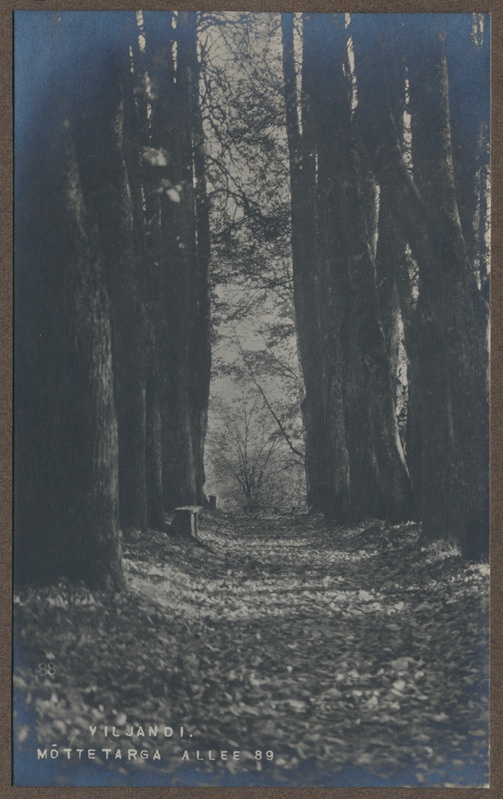 foto albumis, Viljandi, Mõttetarga (Filosoofia) allee, u 1920, foto J. Riet