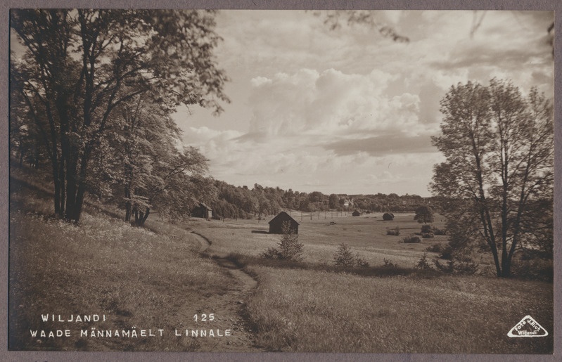 foto albumis, Viljandi, järveäärne heinamaa, u 1930, foto J. Riet