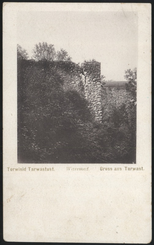trükipilt, Tarvastu khk, Tarvastu lossivaremed, u 1910