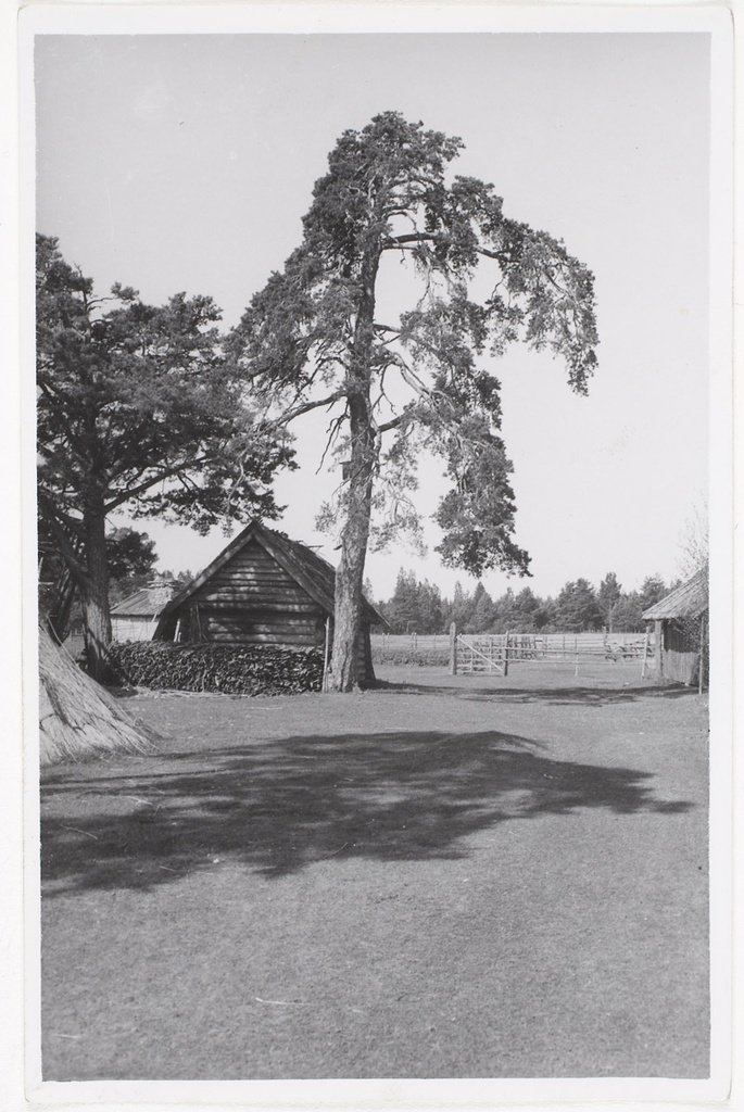 Erjas farm sauna, Vormsi, Hokabacka k