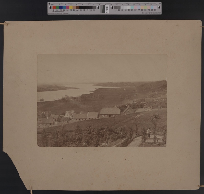 foto papil Viljandi, vaade Jakobsoni mäelt, ees Kõrgemäe tn? majad, järv, heinamaa u 1895 foto J. Palitser