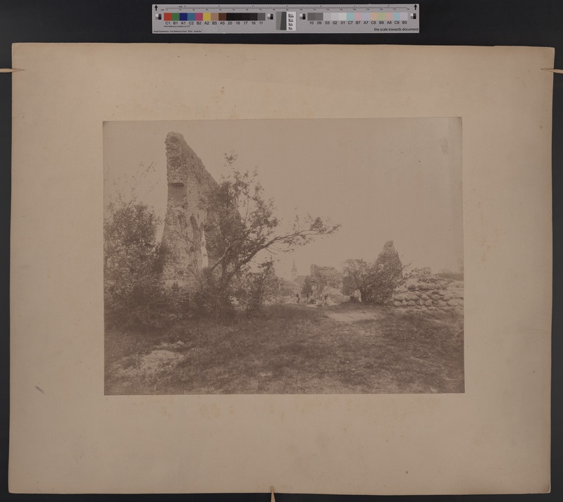 foto papil Viljandi lossimäed, Kaevumägi, Jaani kirik'u torn u 1900