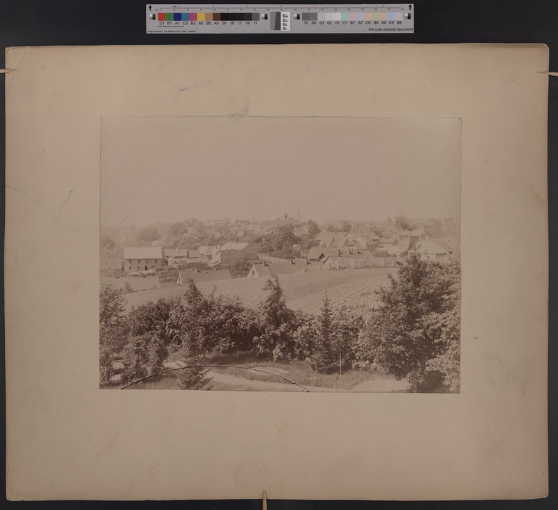pappalusel foto Viljandi üldvaade, taga keskel raekoda, u 1900