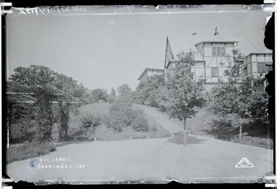 fotonegatiiv, Viljandi, Trepimägi, puhkenurk (lehtla, pingid), villad Eiche ja Sellheim u 1920, foto J. Riet  duplicate photo