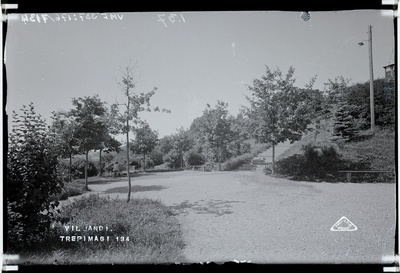 fotonegatiiv, Viljandi, Trepimägi, puhkenurk, u 1920, foto J. Riet  duplicate photo