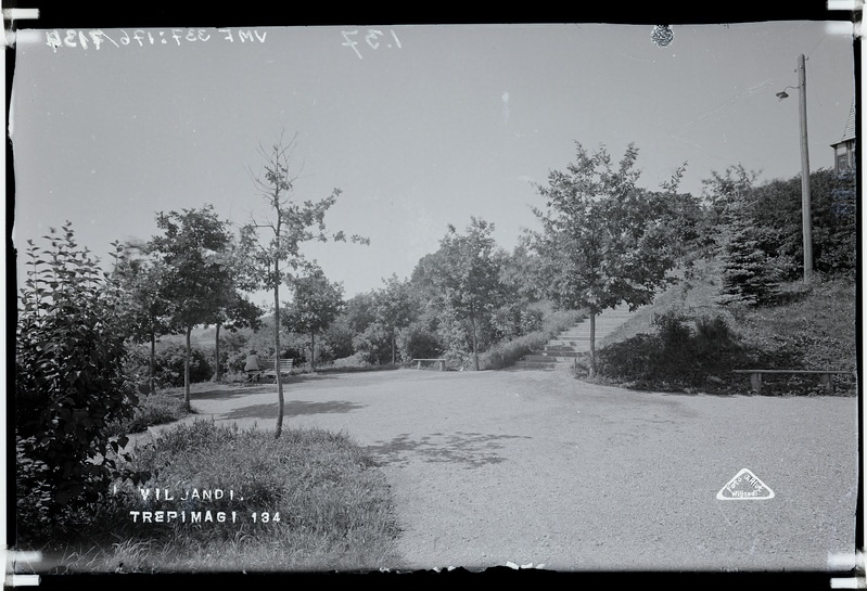 fotonegatiiv, Viljandi, Trepimägi, puhkenurk, u 1920, foto J. Riet