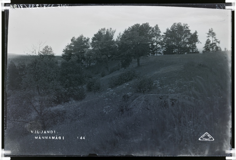 fotonegatiiv, Viljandi, Männimäe, Huntaugu mägi, u 1920, foto J. Riet