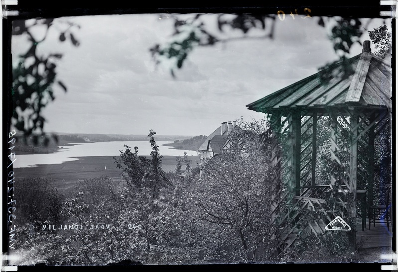 fotonegatiiv, Viljandi järv, kalda-ala, lehtla Lutsu tn 3 või 5 aias, maja Pikk tn 33, u 1920, foto J. Riet