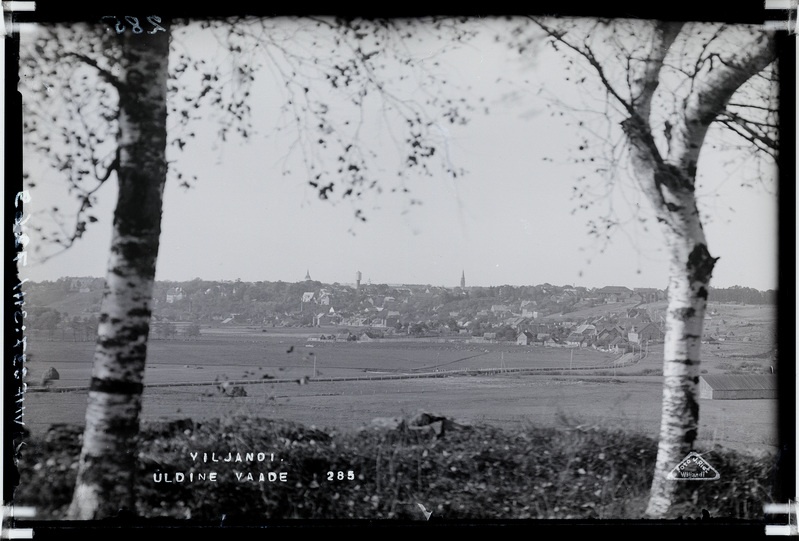 fotonegatiiv, Viljandi linn mäeveerul, ees Tartu mnt ümbrusega, u 1920, foto J. Riet