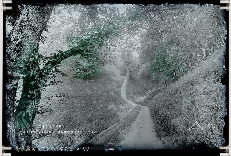 fotonegatiiv, Viljandi lossimäed, Suurorg, u 1920, foto J. Riet
