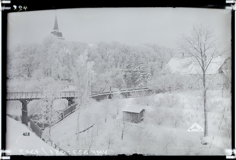 fotonegatiiv, Viljandi, Varesesild, puude taga Jaani kirik, u 1931, foto J. Riet