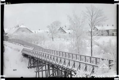 fotonegatiiv, Viljandi, Varesesild, taga Lossi tn majad, talv, u 1930, foto J. Riet  duplicate photo