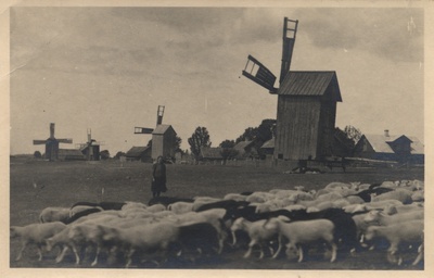 [vormsi island]  similar photo