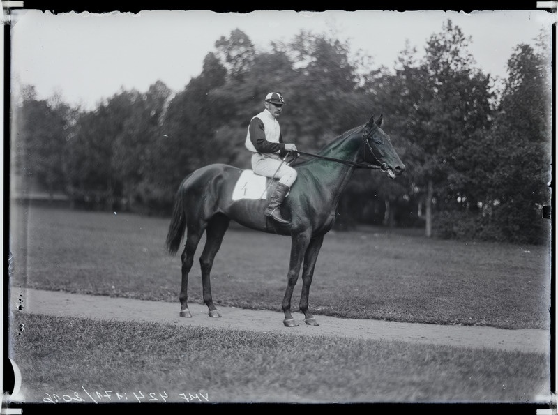 fotonegatiiv, von Sievers, mees, Uue-Võidu mõis, hobune, 1910 foto J. Riet