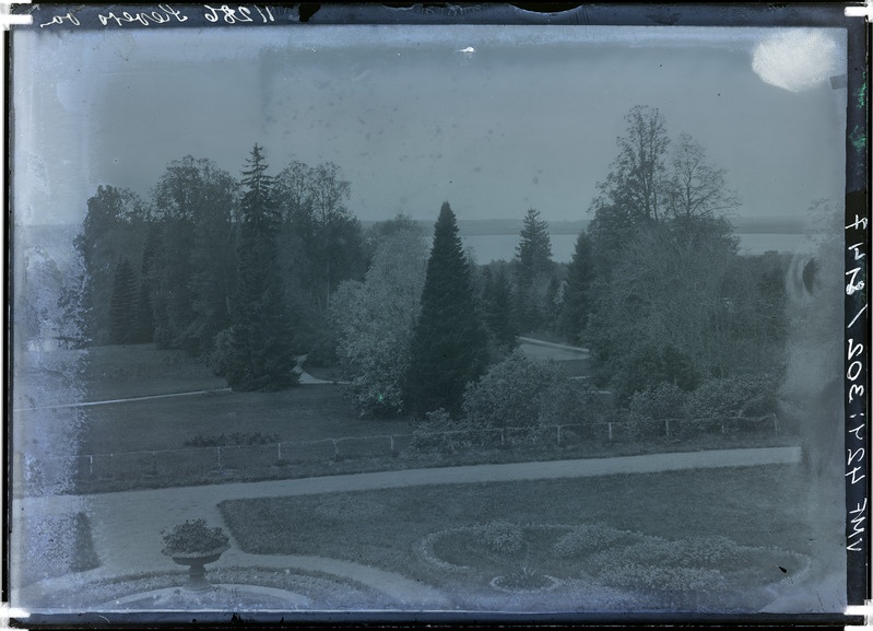 fotonegatiiv, von Sievers, Õisu mõisa aed (park), 1910 foto J. Riet