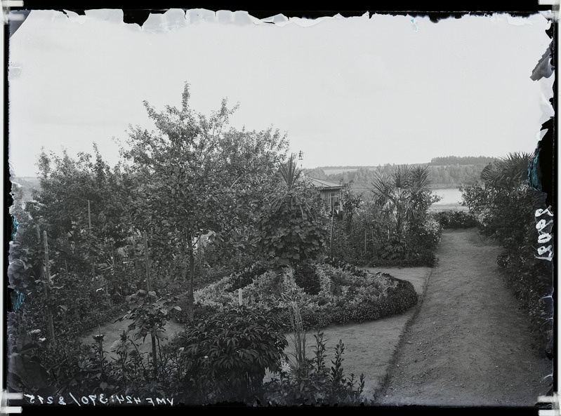 fotonegatiiv, Viljandi Posti tn 42 aednik H. Wichwelin'i aed, taga järv 1903 foto J. Riet