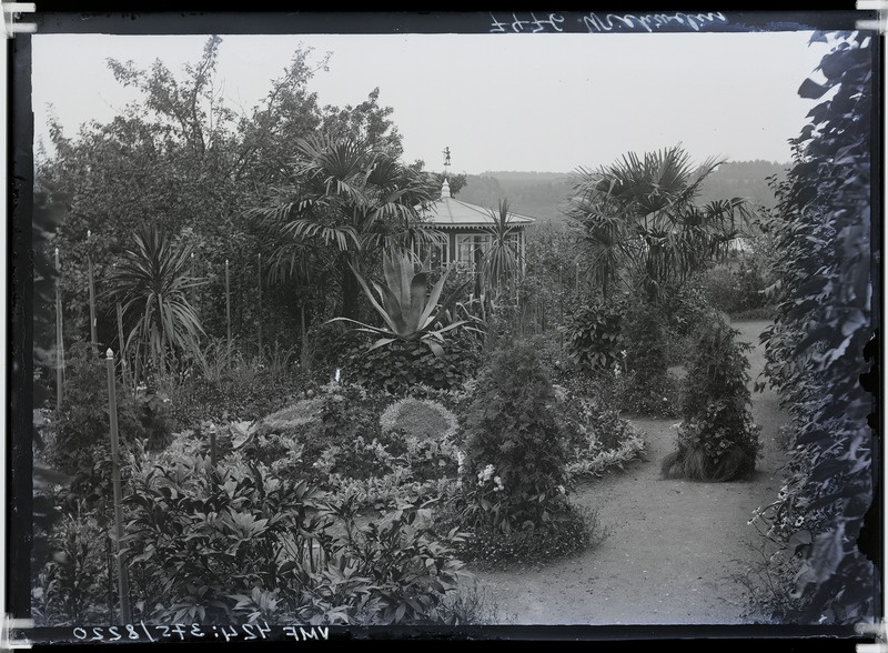 fotonegatiiv, Viljandi Posti tn 42 aednik H. Wichwelin'i aed 1907 foto J. Riet