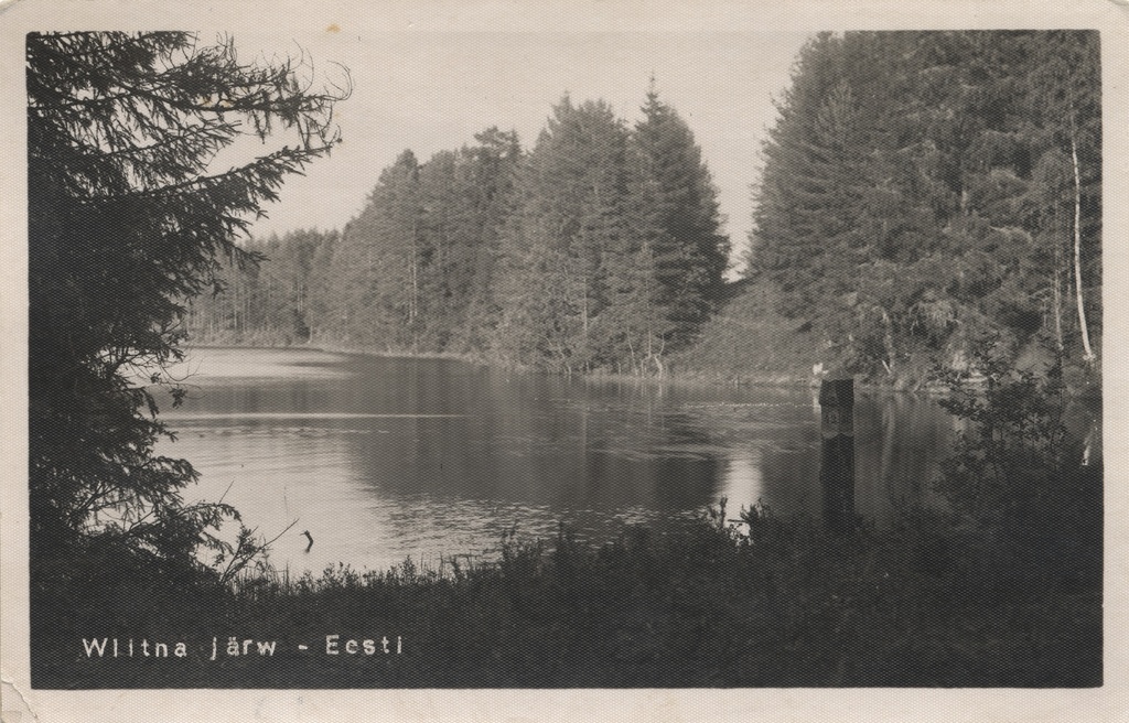 Wiitna järw : Estonia