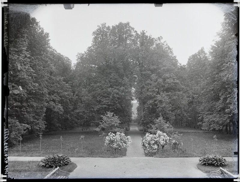 fotonegatiiv, Paistu khk, Loodi mõis, iluaed, 1912  foto J.Riet