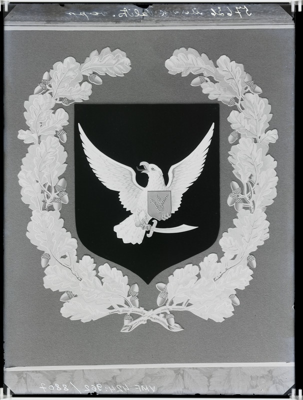 fotonegatiiv, Viljandi maakonna valitsus'e vapp, 1931 foto J.Riet